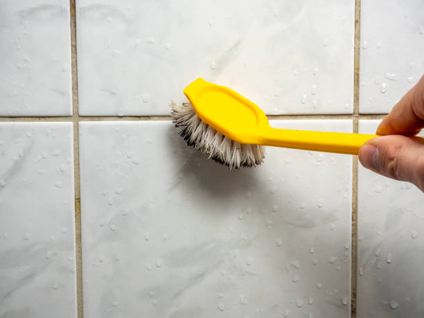 Best Attic Mold Removal  in Chandler, IN