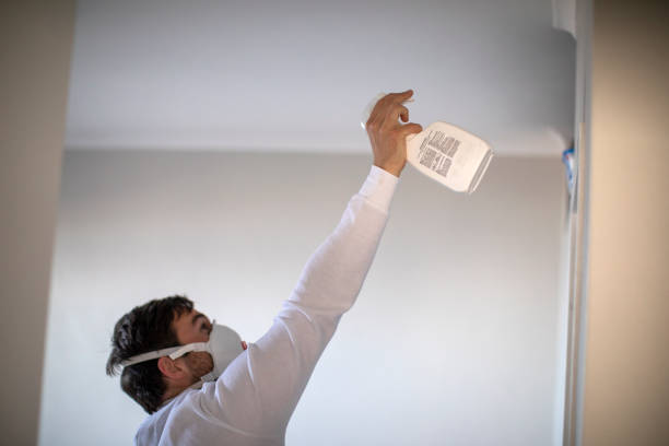 Best Affordable Mold Removal  in Chandler, IN