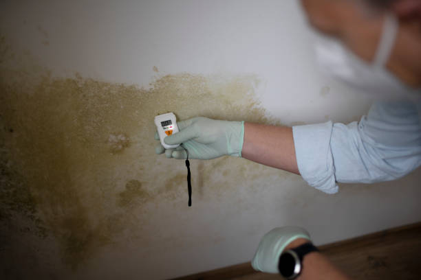 Best Mold Testing  in Chandler, IN