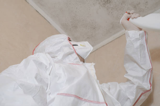 Best Toxic Mold Removal  in Chandler, IN